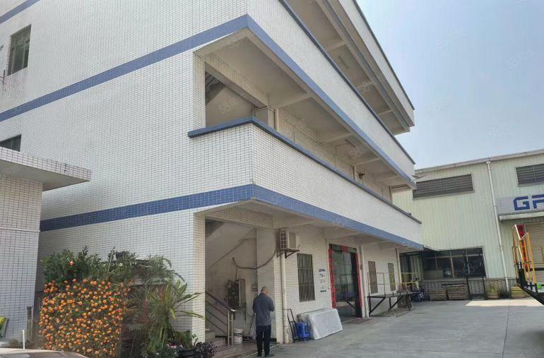 横沥新出原房东独门独院钢构厂房3300平方工业厂房出租