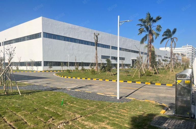 横沥新出原房东可分租实际面积出租长度210宽度181带牛角位