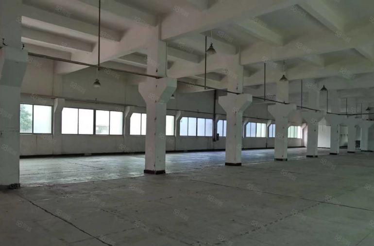 东莞横沥新出国有证独院标准厂房5000平方厂房出租