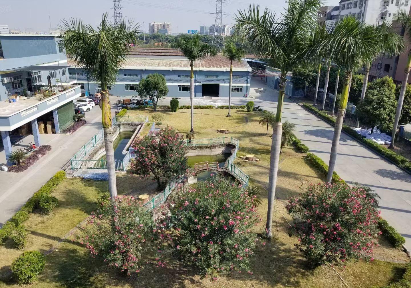 横沥镇新出原房东砖墙到顶单一层独门独院4800平方厂房出租