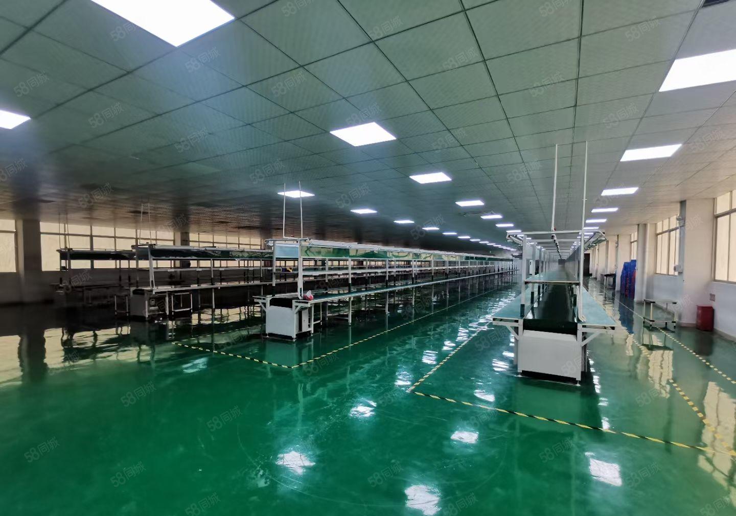 横沥镇原房东独院厂房4000平方水电齐全一楼6米高可办环评。