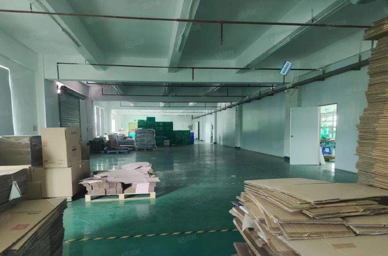 东莞横沥新出独院标准厂房三层4200平方工业厂房出租可分租