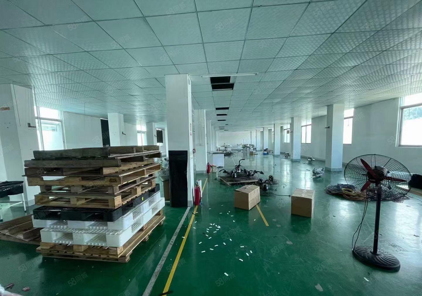 横沥镇三江工业园10元1200平厂房精装修出租