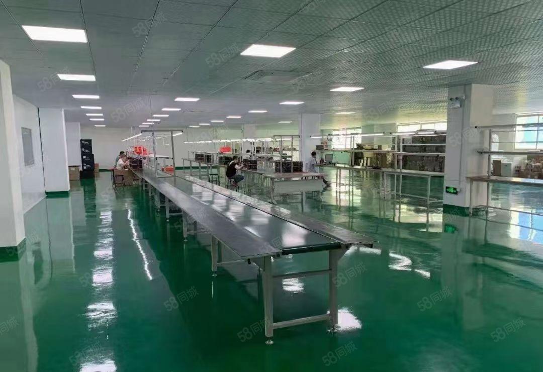 横沥大型工业区新出原房东独院标准三层15000平方厂房出租