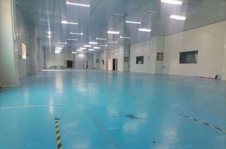 8元价格可谈原房东横沥桥头1000平方精装修厂房出租可分租