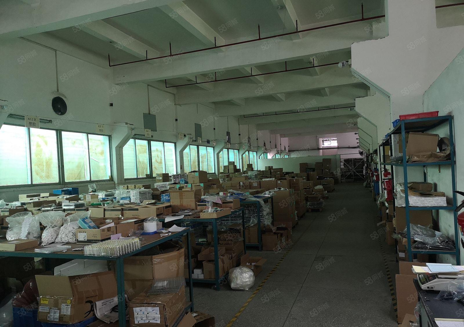 横沥新出原房东一楼带牛角1400平方水电齐全主线到位