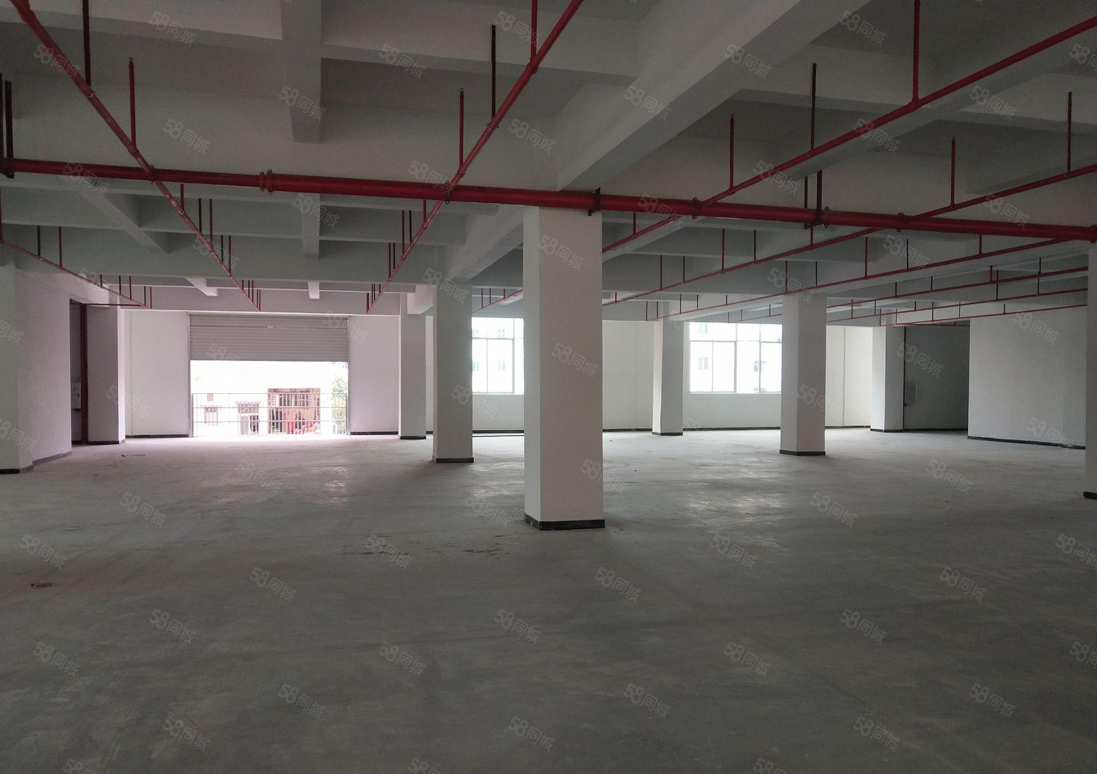 横沥镇新出全新厂房13000平一楼6.8米大小可分消防喷淋