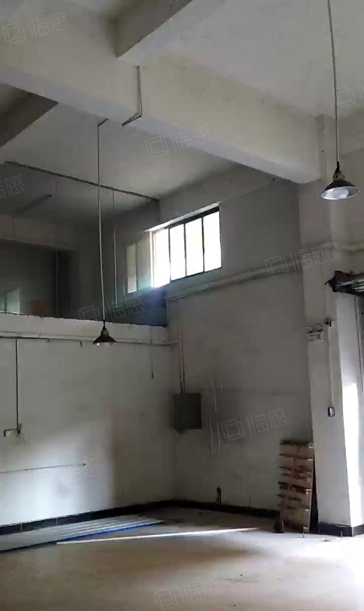 100平到500平厂房出租横沥镇低价厂房小面积出租