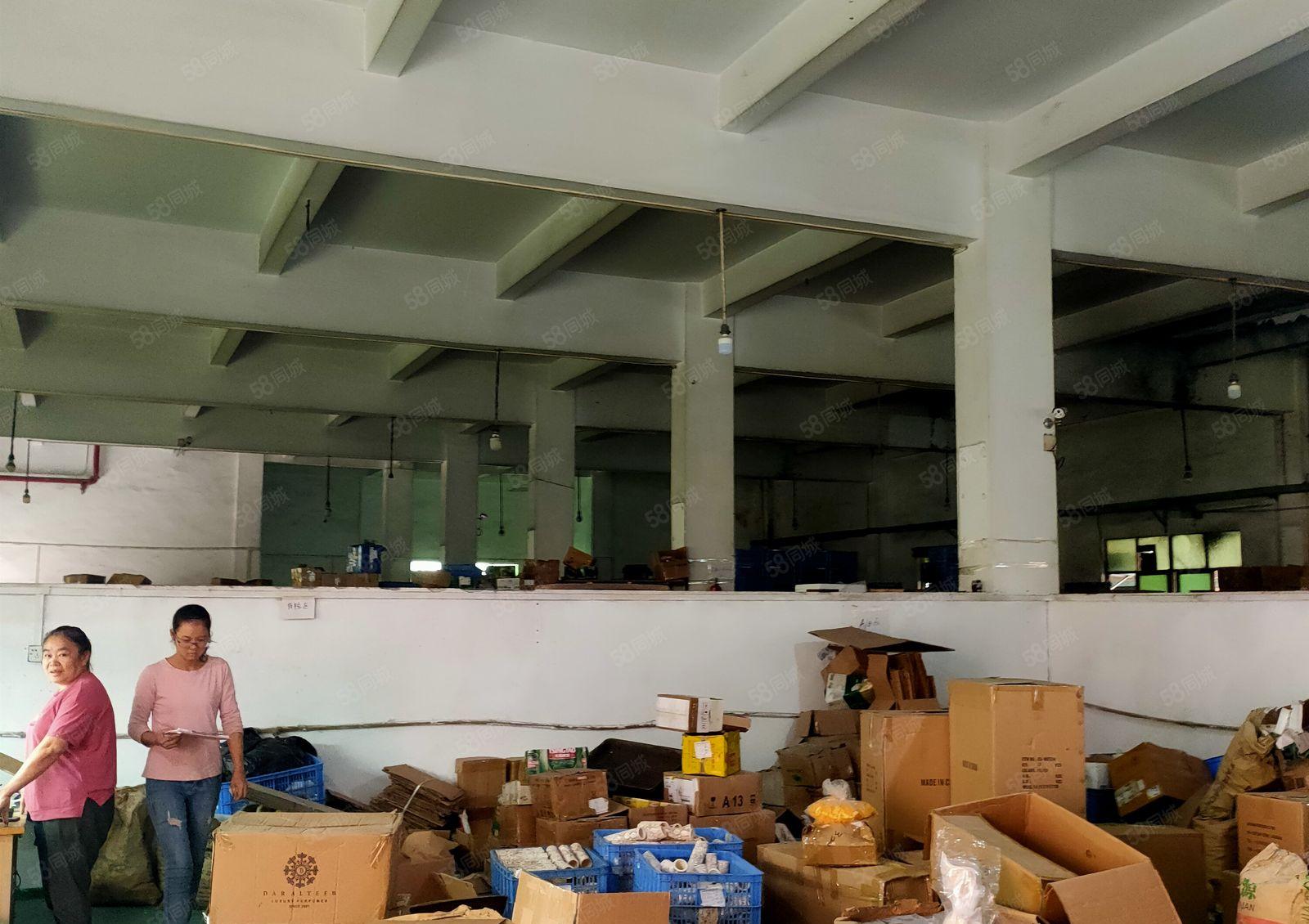 横沥独门独院厂房出租，2400平，现成办公室水电装修，可分租