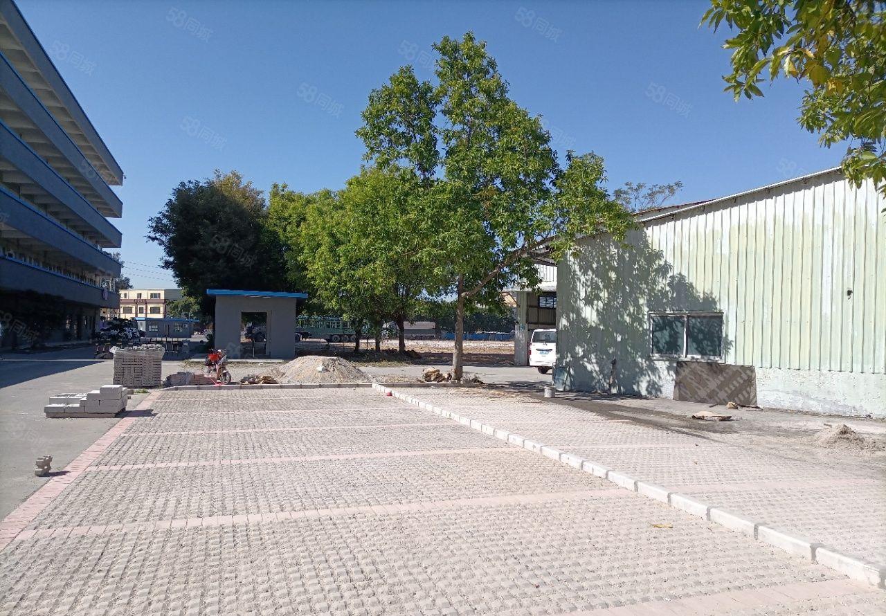 横沥镇原房东单一层2800平滴水9米拖头可倒入车间现成办公室