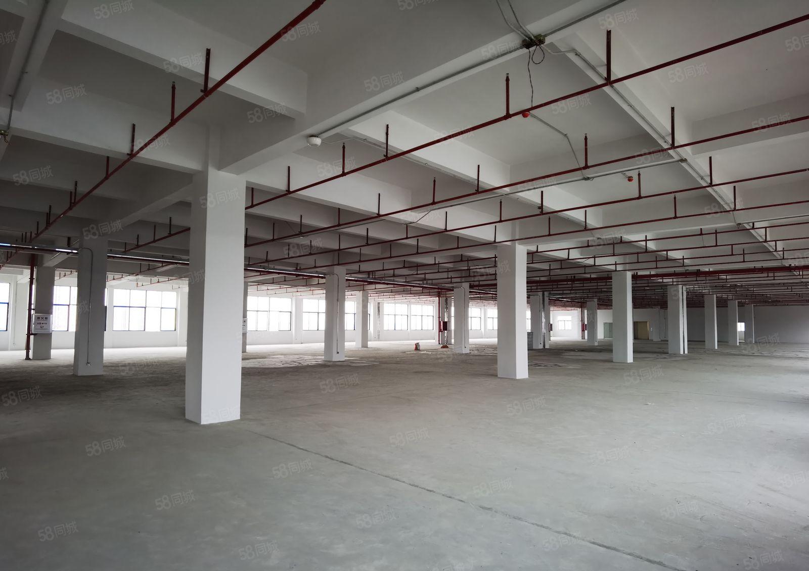 横沥西城工业区独院厂房8550平方出租可分租可办环评价格优惠