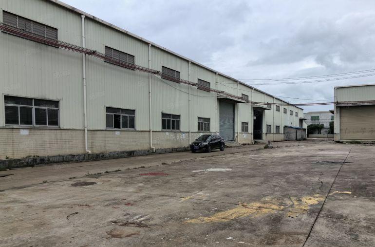 横沥原房东重工业钢构滴水10米高5000平厂房低价厂房，可分