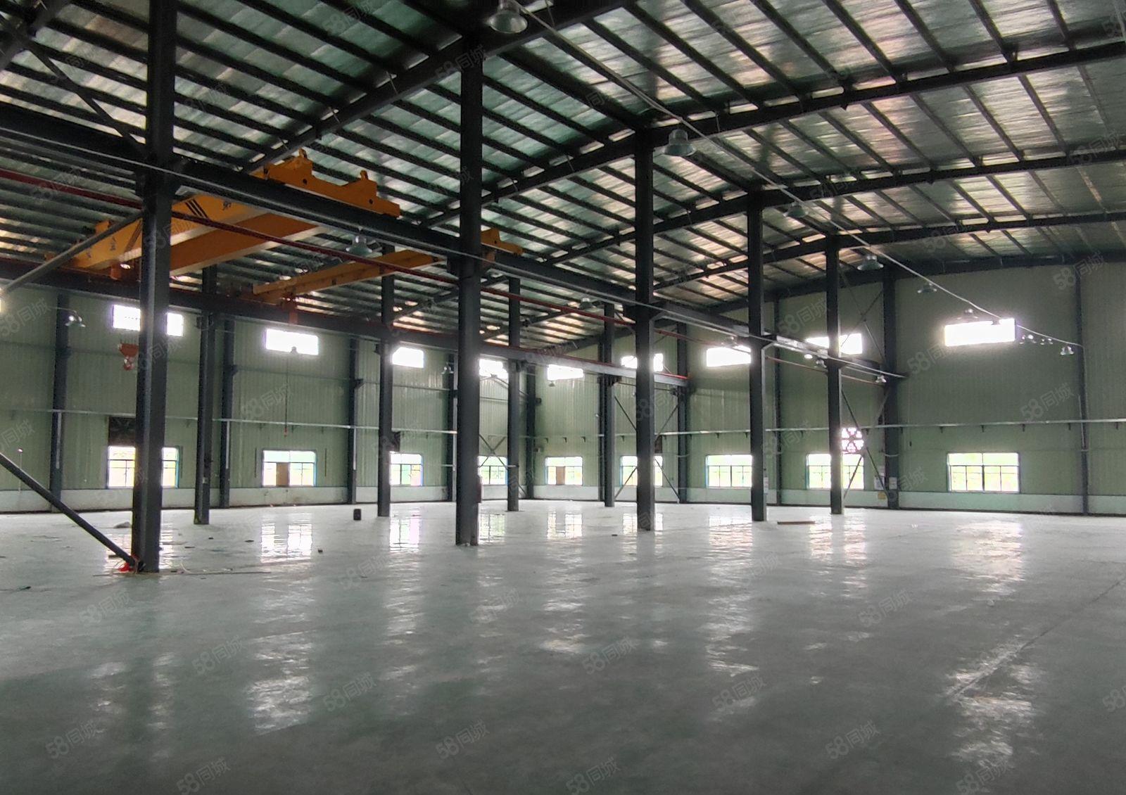 横沥镇三江工业区原房东独门独院五千平方钢结构单一层12米低价