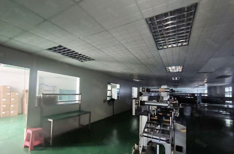 横沥镇经典独院标准厂房1200平方低价出租带现成办公室