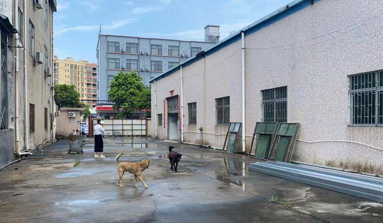 横沥镇新四村独门独院厂房出租1800平，水电齐全工业用地