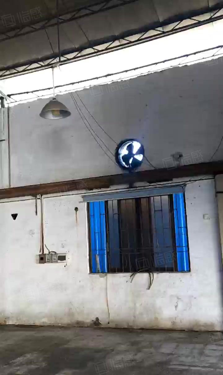 横沥镇650平单一层钢构厂房出租带航车免费使用空地大宿舍按需