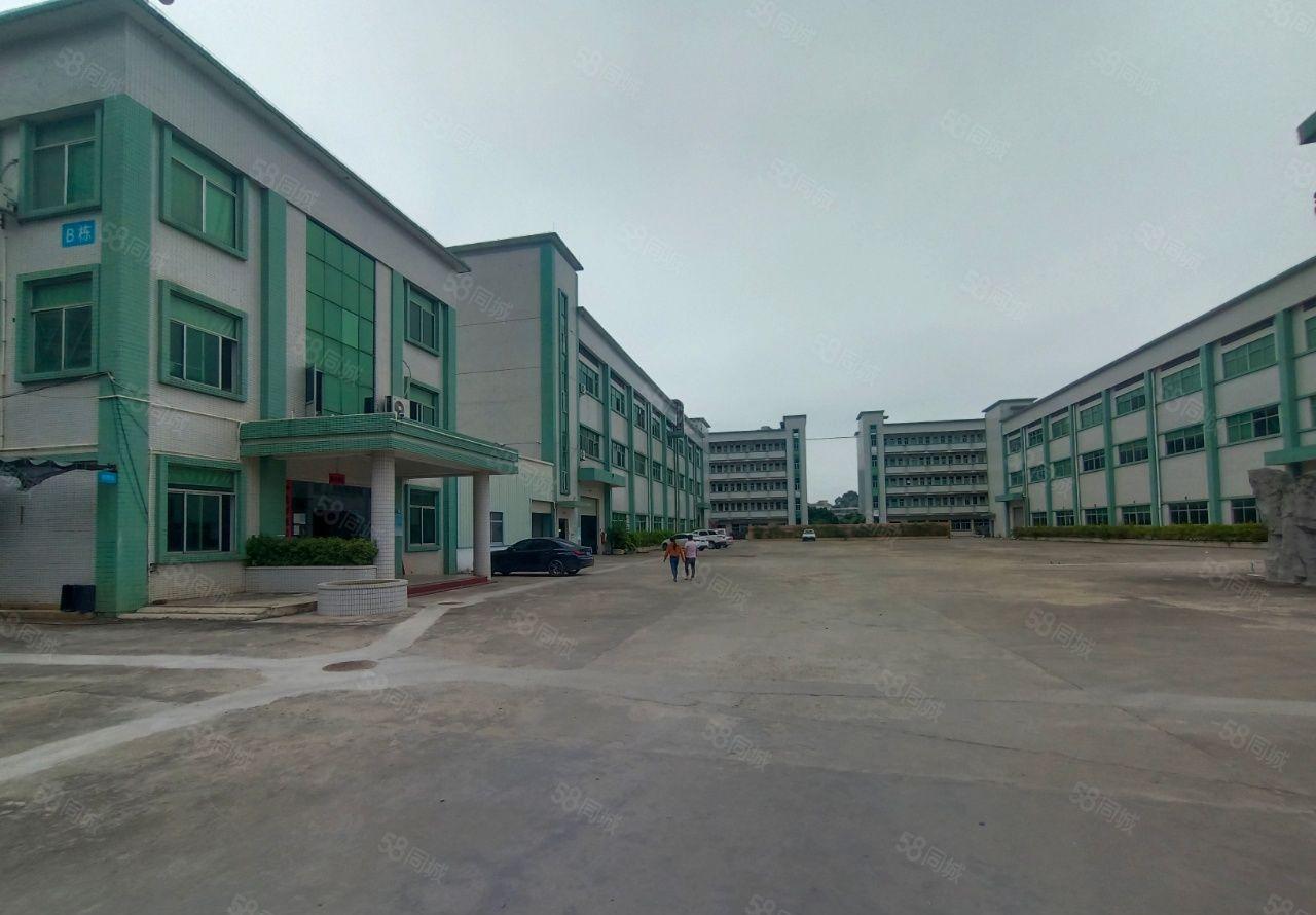 横沥镇原房东独院三层厂房14500平，带玩具喷油环评出租