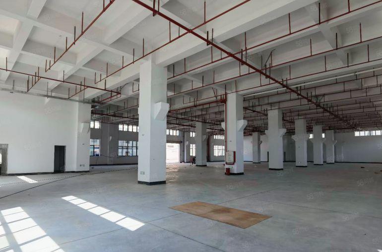 横沥7096平原房东国有双证红本全新重工业标准独院厂房出租