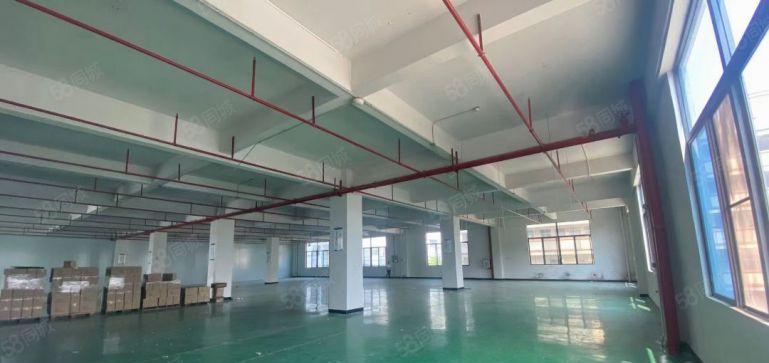现成装修报价16元！东莞横沥独院三层标准厂房低价出租500起