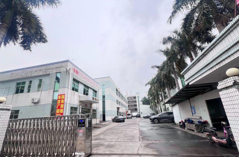 在横沥10块租厂房 电梯1300平 独院标准 大马路边工业区