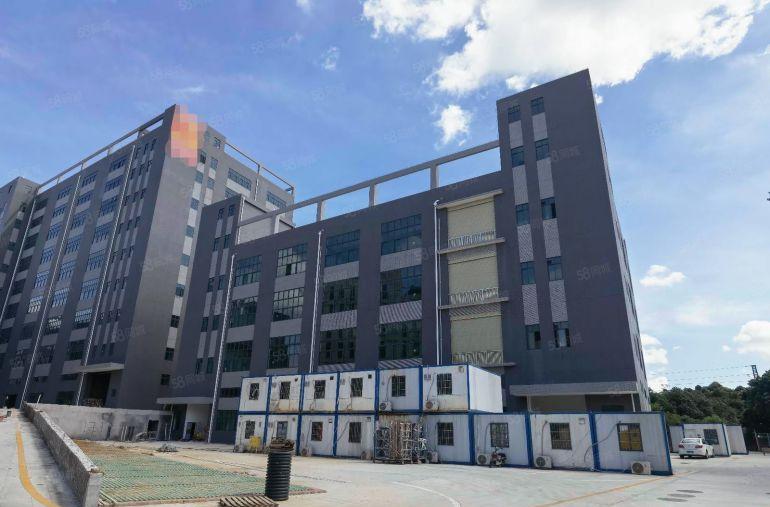 横沥7096平原房东国有双证红本全新重工业标准独院厂房出租