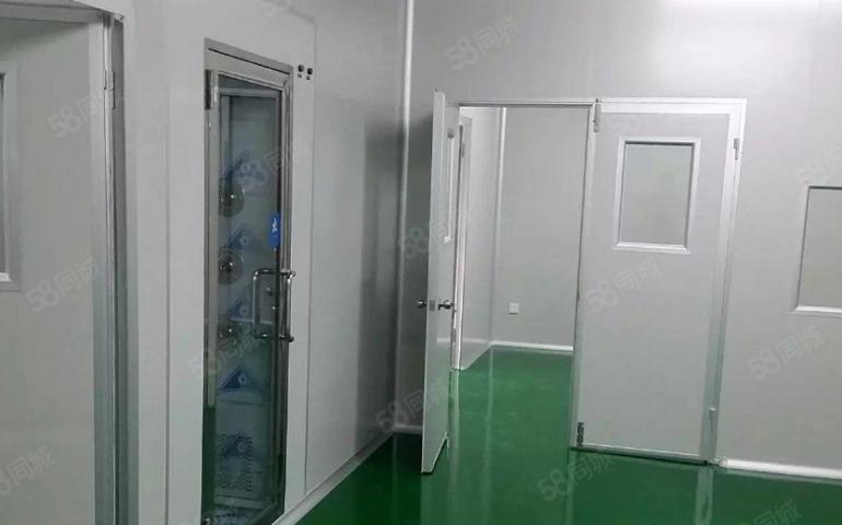 D9 137 1476 3555无尘车间，净化车间，丝印车间