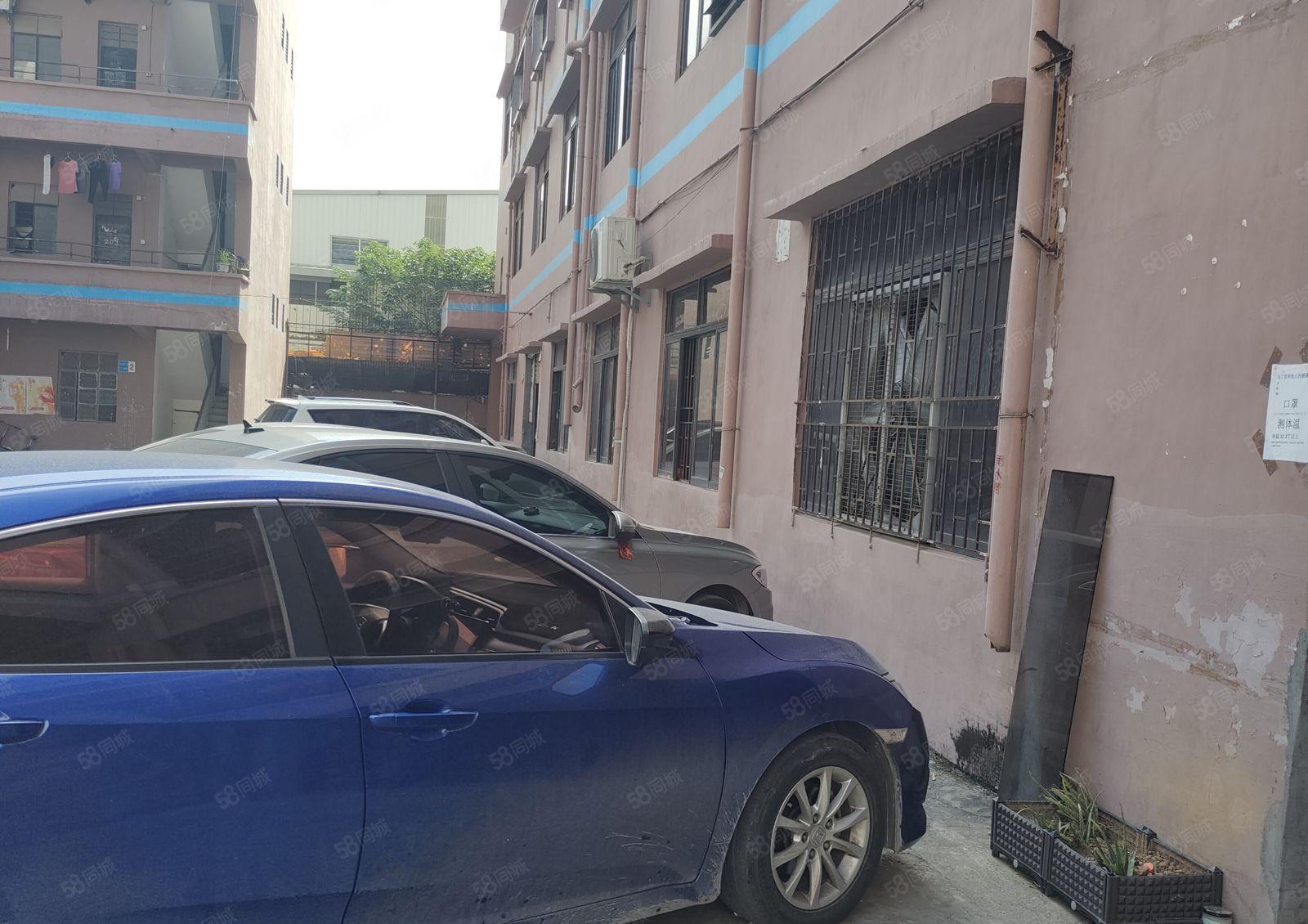 横沥镇田头工业园一楼18元带精装修出租