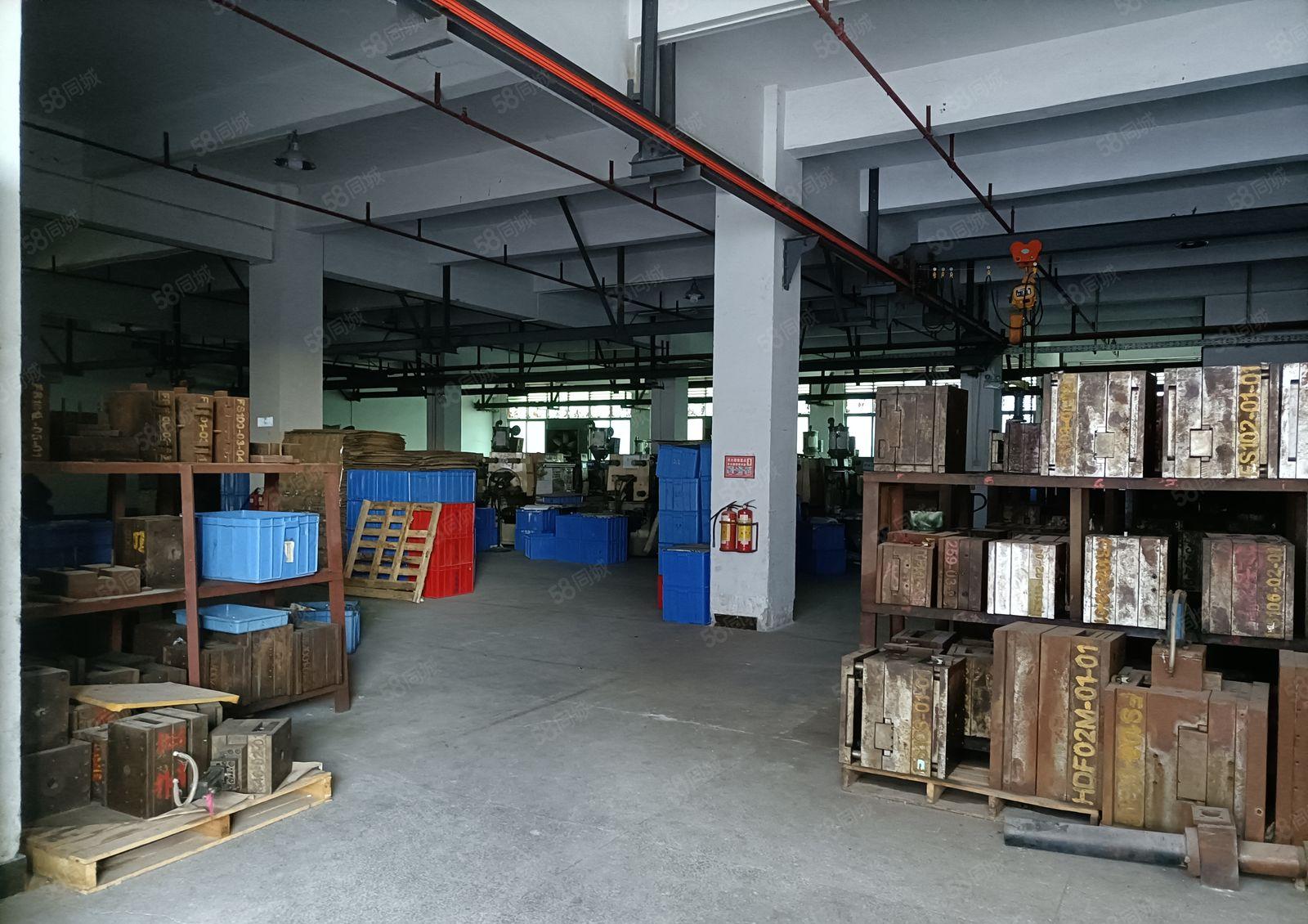 横沥镇新出原房东经典独院厂房出租上市公司形象现成办公室