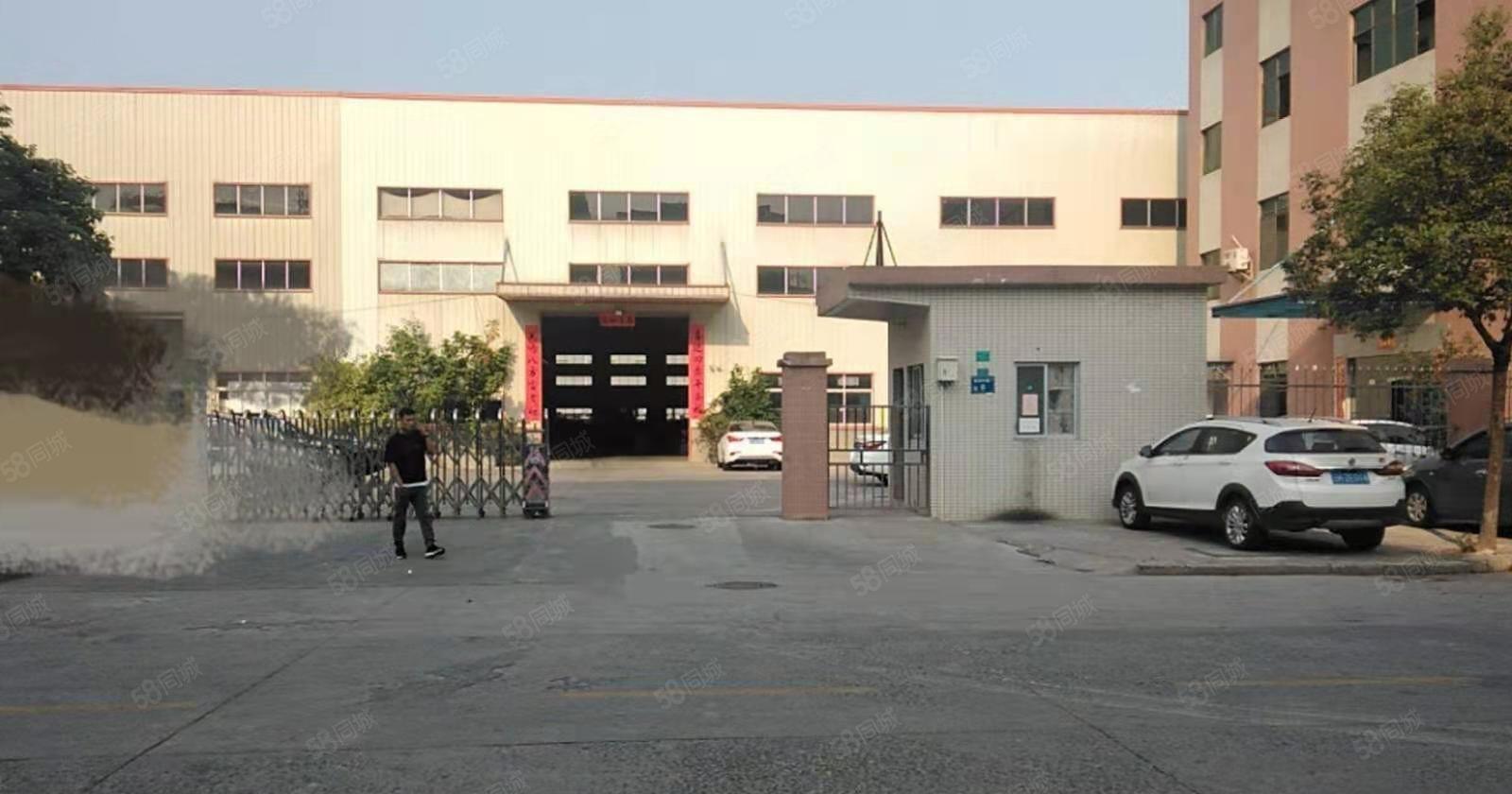 横沥单一层独院厂房出租独立办公楼现成航车滴水9米高带办公室