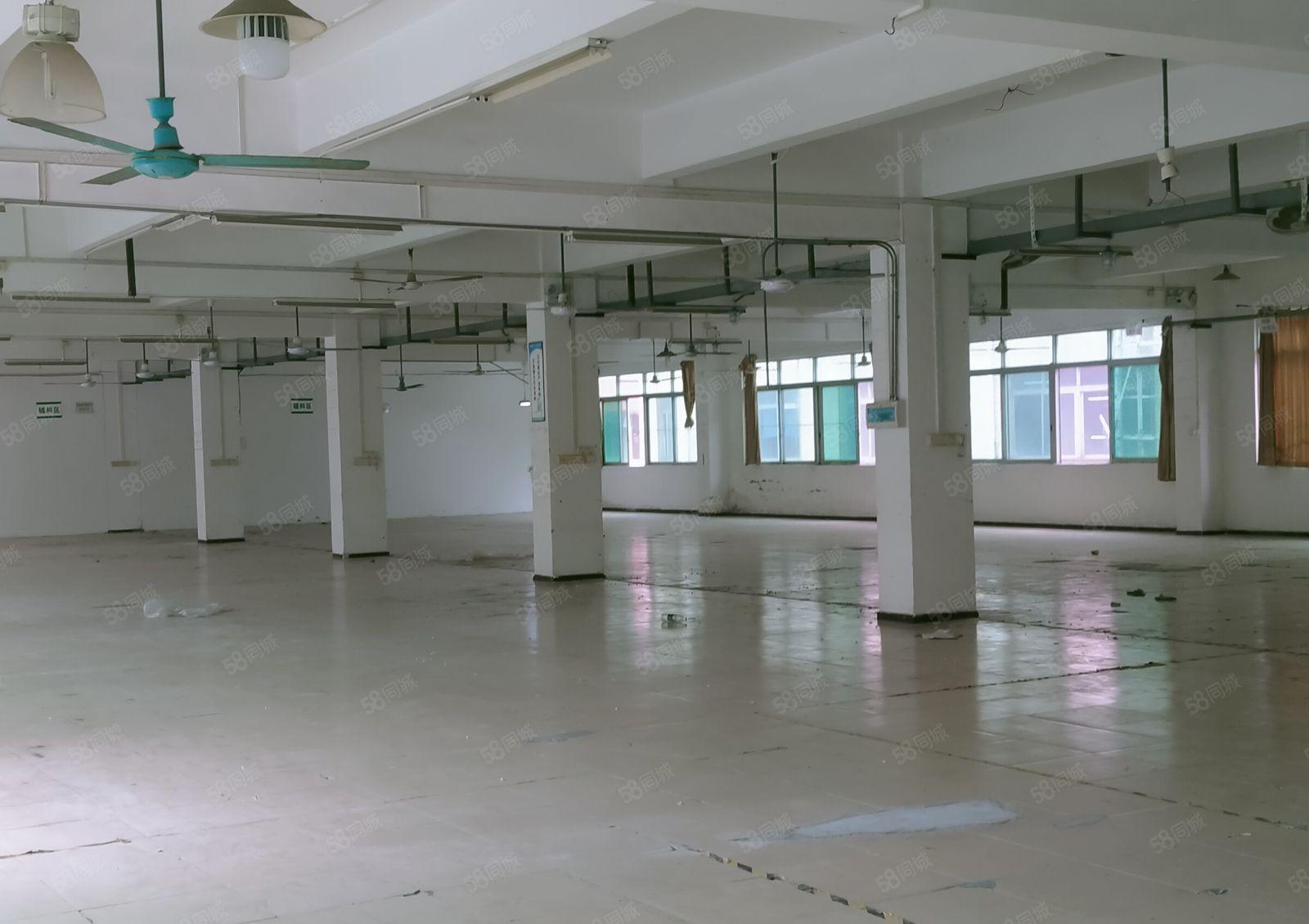 横沥镇模具城附近出租独院标准厂房，交通方便空地大，形象超好