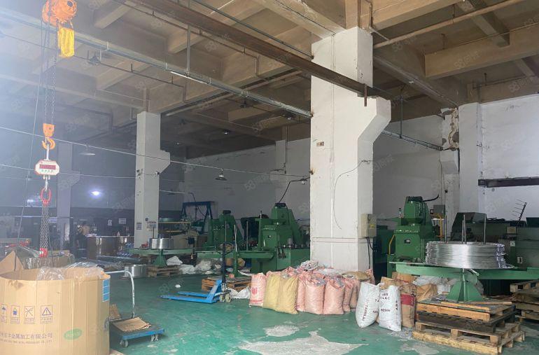 横沥厂房出租低价出租独门独院分组一楼高度7.5米800平方