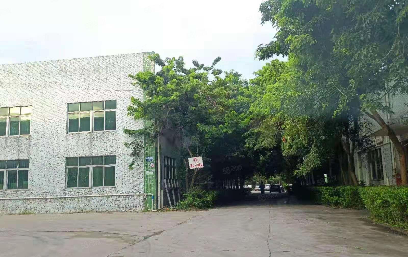 横沥镇水边工业区东部快速路口出租单一层独院厂房，工业用地，