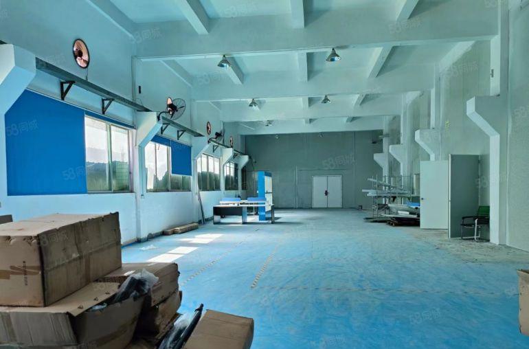 横沥镇东部快速干线边上厂房一楼1350平方出租精装修可办环评