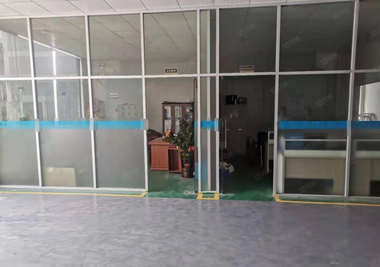 横沥镇山厦工业区标准厂房一楼1800平方，高度6.8米带牛角