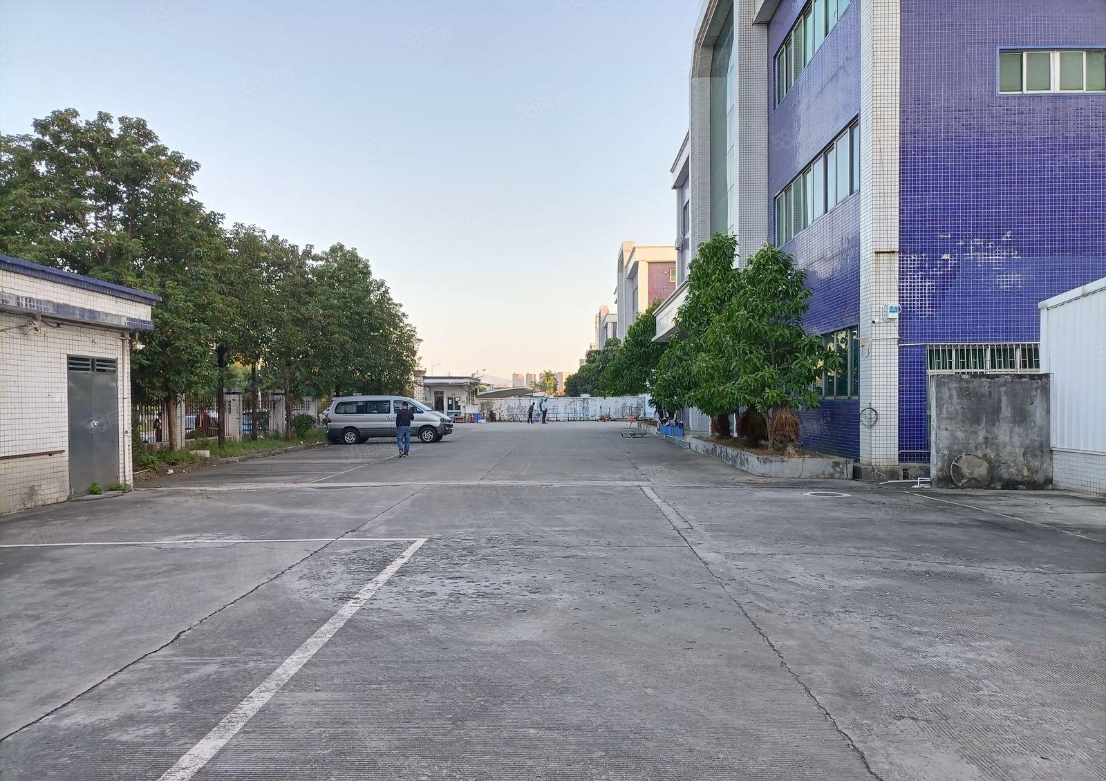 横沥镇新出原房东经典独院厂房出租上市公司形象现成办公室