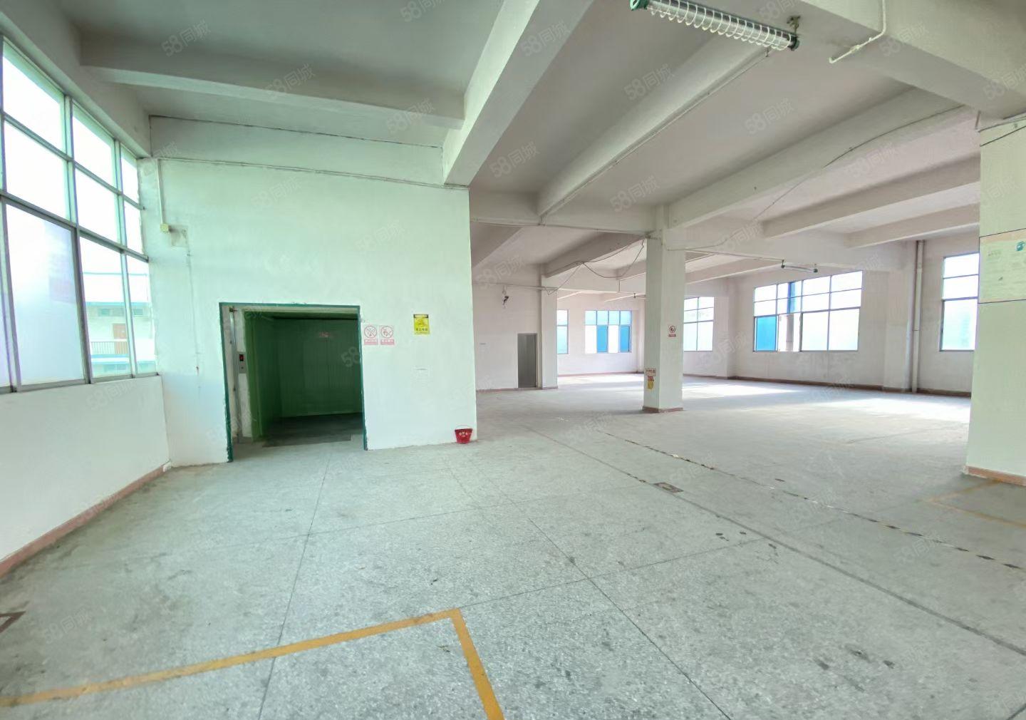 横沥镇新空出9成新花园式独门独院6200平方可办环评