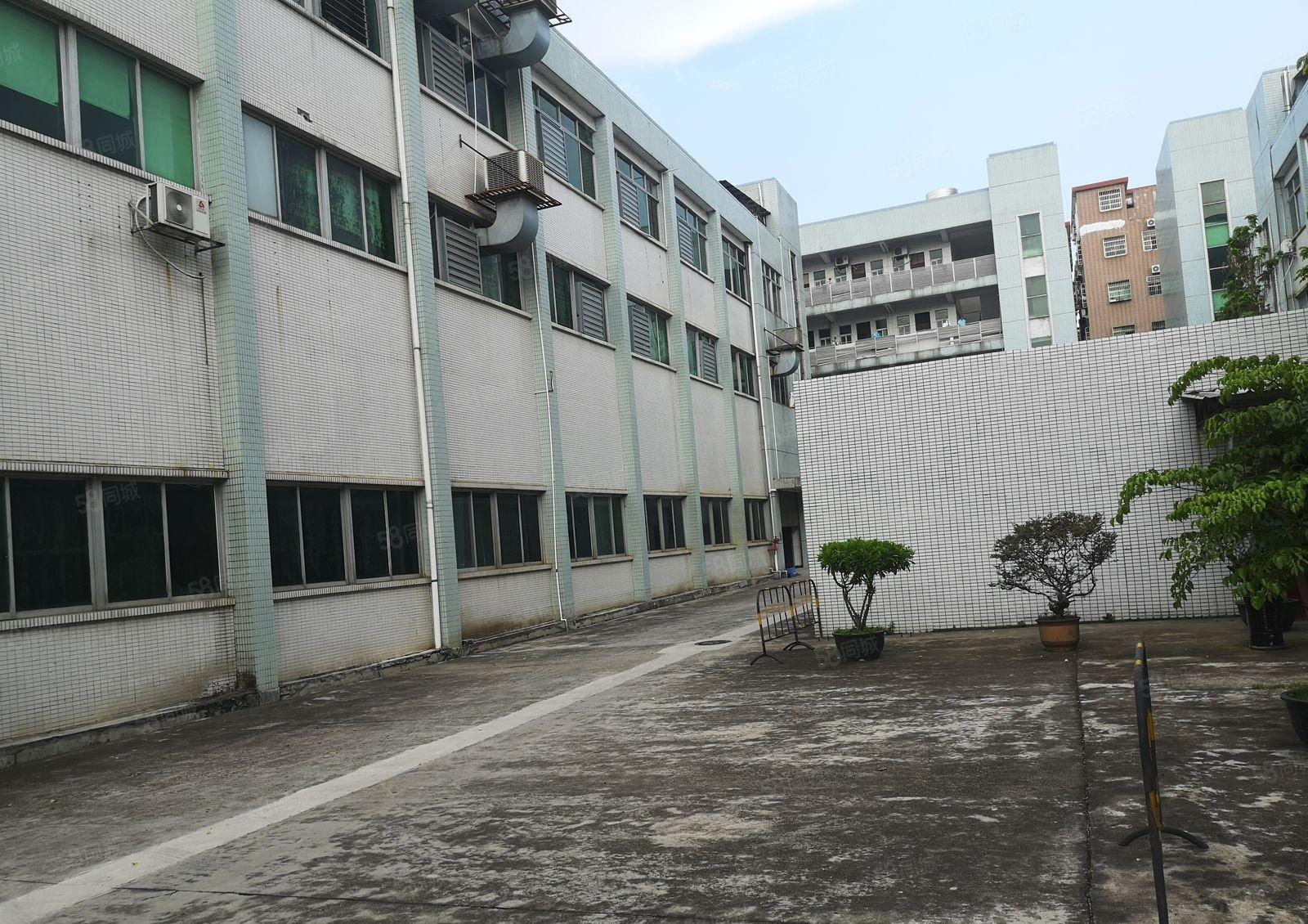 横沥新出原房东一楼带牛角1400平方水电齐全主线到位