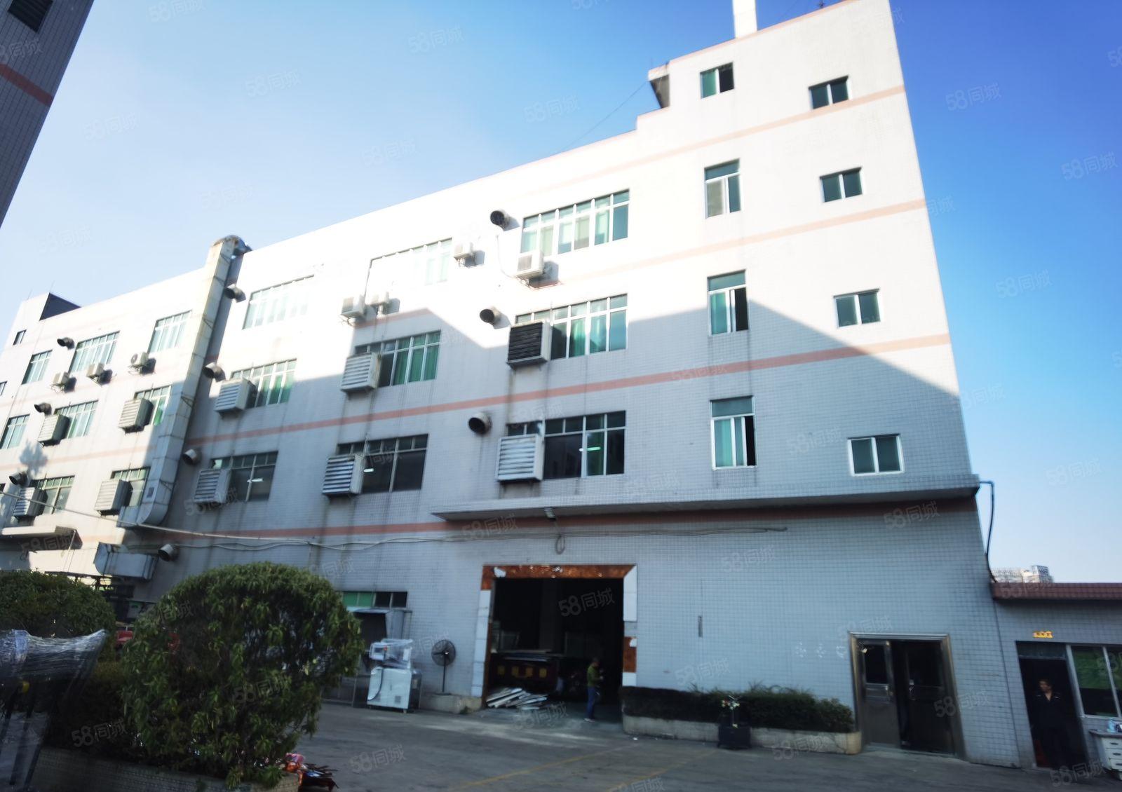 横沥镇独院标准厂房出租一楼2000平方可分租现成装修价格优惠