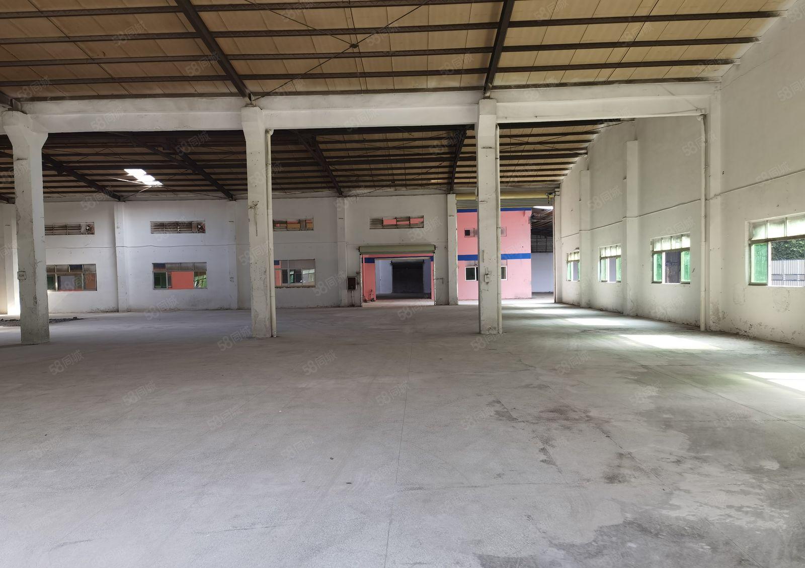 横沥新出原房东单一层500到3000平方中间无柱子