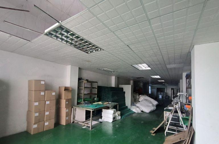 横沥镇经典独院标准厂房1200平方低价出租带现成办公室