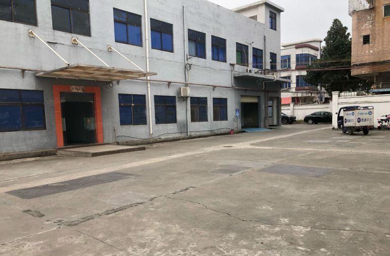 横沥个人工业厂房一楼出租 1200 平方可以分租 600 平