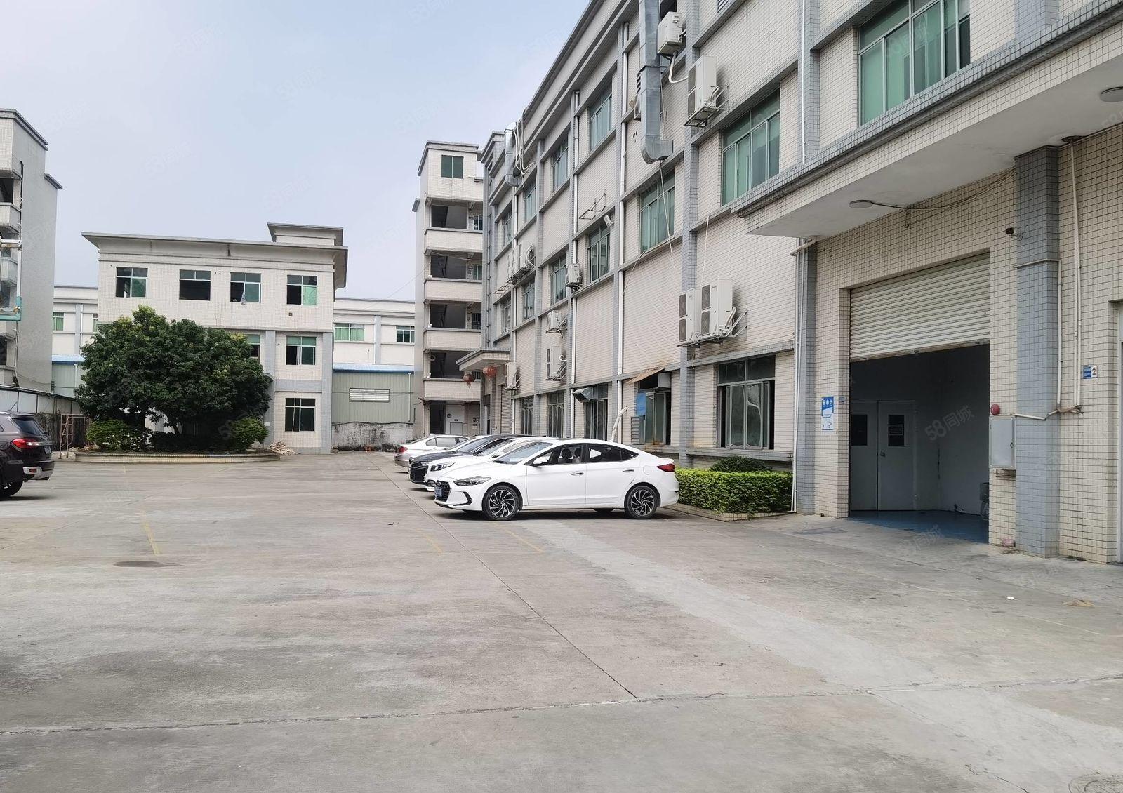 横沥镇新出原房东标准独门独院5800平方带现成办公楼