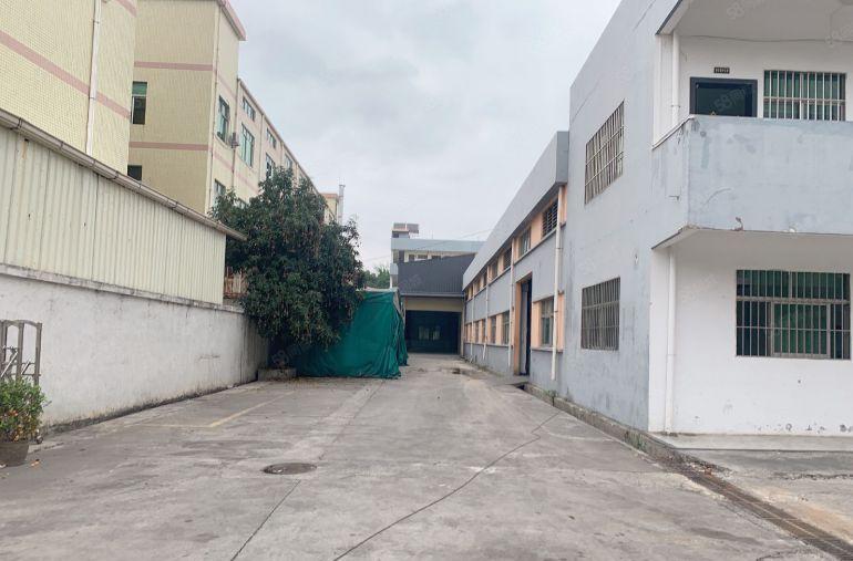 横沥镇砖墙到顶单一层独院带行车厂房出租