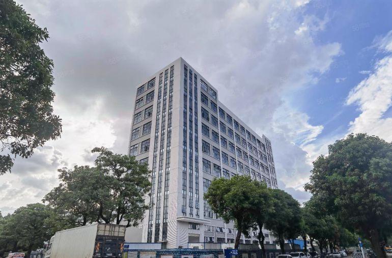 横沥12000平原房东国有双证红本全新重工业标准独院厂房出租