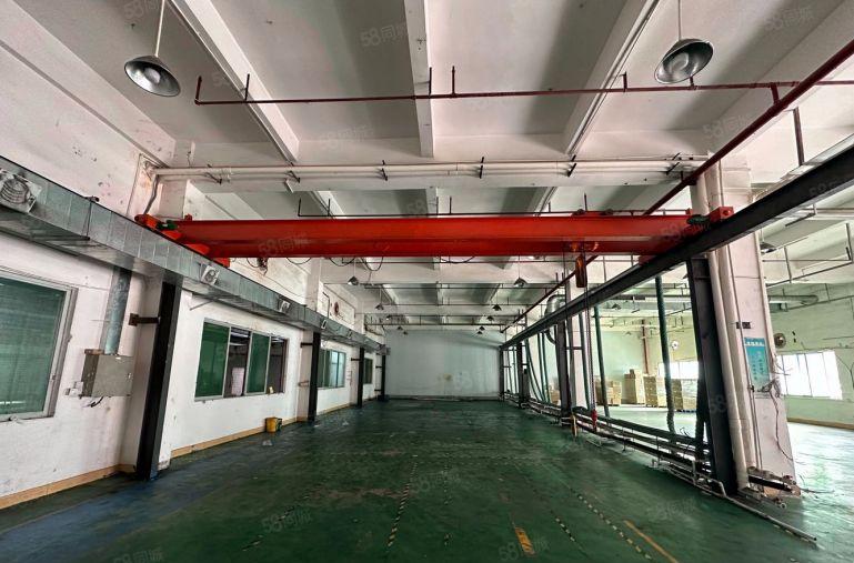 横沥镇带现成注塑厂1000平方标准厂房出租