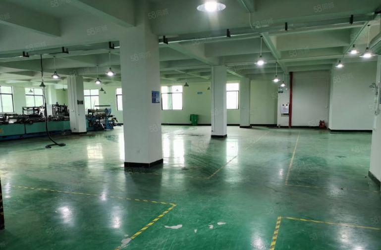 横沥镇原房东标准楼上带精装修办公室地坪漆水电齐全还配宿舍饭堂