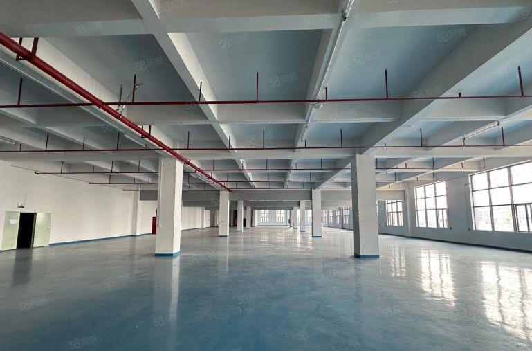 东莞横沥300至4万平精装修钢构无尘车间低价厂房仓库空地出租