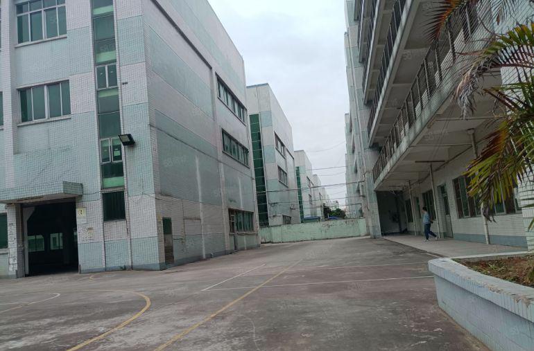 横沥镇本地房东厂房出租，红本厂房，一楼6米带牛角，适合注塑