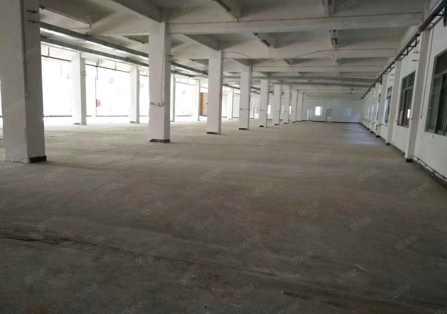 横沥模具城附近原房东标准厂房一楼1400平方出租