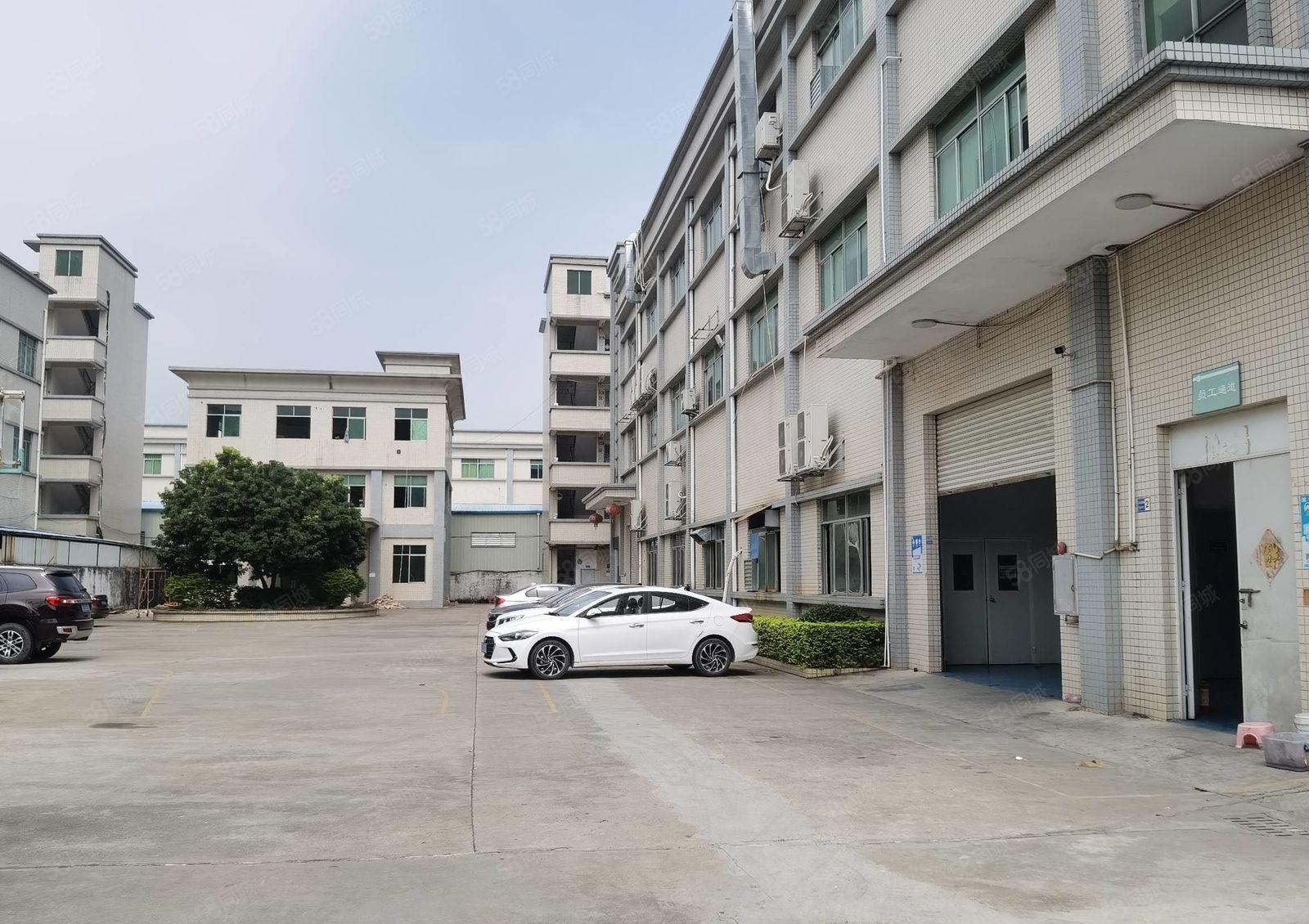 横沥镇新出原房东标准独门独院5800平方带现成办公楼